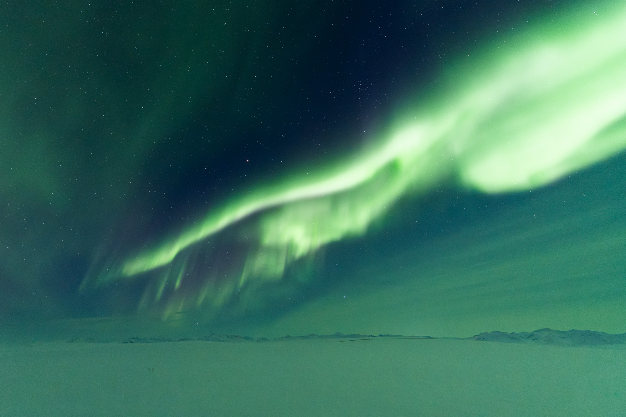 Aurora over tundra in Alaska