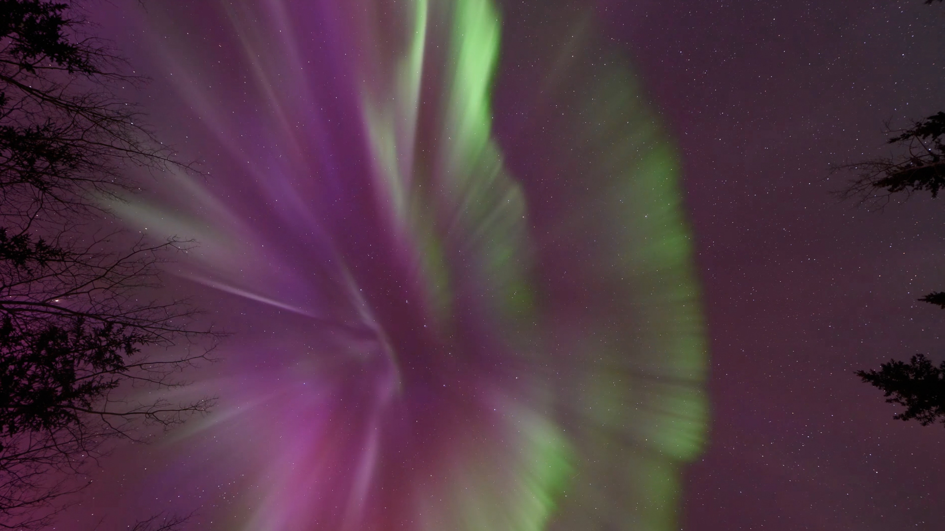 Aurora timelapse over Fairbanks